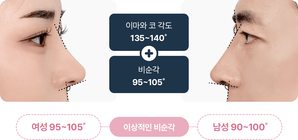 이상적인 비순각 여성 95도 105도 남성 90도 100도 이마와 코각도 135도 140도 비순각 95도 105도